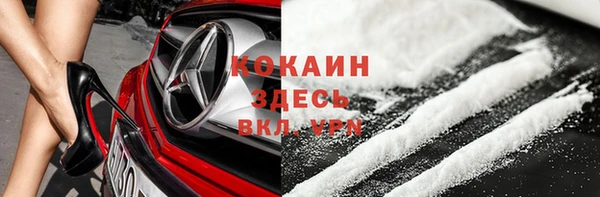 гашик Вязьма