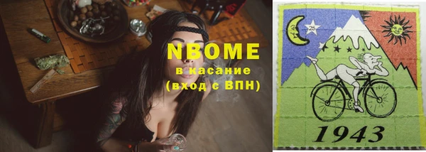 гидра Горняк