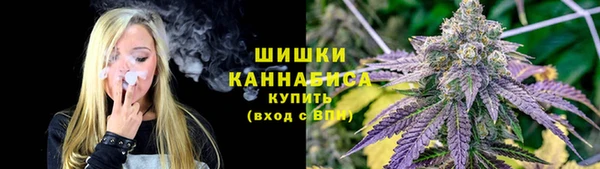 гидра Горняк