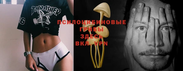 гашик Вязьма