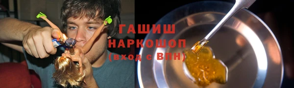гидра Горняк