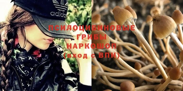 spice Горнозаводск