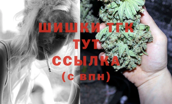 гидра Горняк