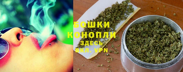 spice Горнозаводск