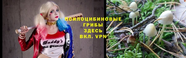 гидра Горняк