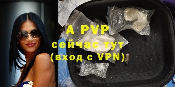 гидра Горняк