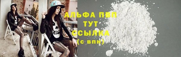 гашик Вязьма