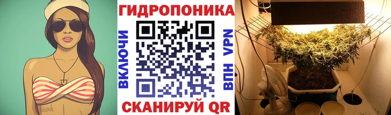 Бошки марихуана Bruce Banner  Петухово 